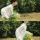 花梦怡人
