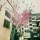 萌芽芽