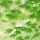 清风