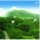 风信青梅