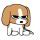 韵静