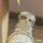 小余(⊙o⊙)…