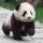大熊猫
