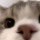 333