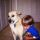 螃蟹