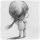 卡卡C