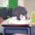 ぎ潶色べ謿流ぎ