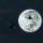 zone先生