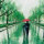 雨音