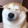 伦伦