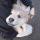 暂无昵称