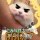 猪儿虫养殖大户