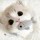 오세훈사랑해: