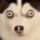Crheg