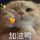 ﹏ 、Ever
