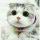 小猴子