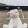 静坐黑白时光