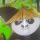 温暖中烟花