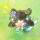 Spring ‘ 初心