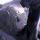 jason_xx