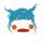 Dummer. ゛浅时光
