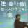i6374200341明