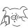 S•WのLNCE
