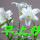 缘分是什么