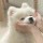 女孩与猫