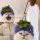 回不到的从前