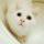 怕黑