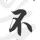花花世界