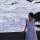 浪迹浪妓