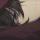 小王子的狐狸
