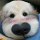 Tingぴ