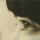 Amy