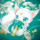  Free_醉猫丶