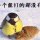 没有资本也高傲