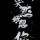 孤独症