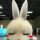蓝**A