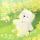 梓.颖♡