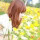 回眸誰淺笑1