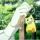 ※①?個(gè)亽?