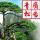 青松廣告-3