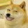 設(shè)計部Gavin