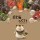 星宇設(shè)計(jì)部