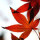 遠(yuǎn)納廣告