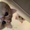 坏尐絯☜的头像