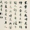 卡牌大师·崔斯特的头像