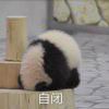 挺好的的头像